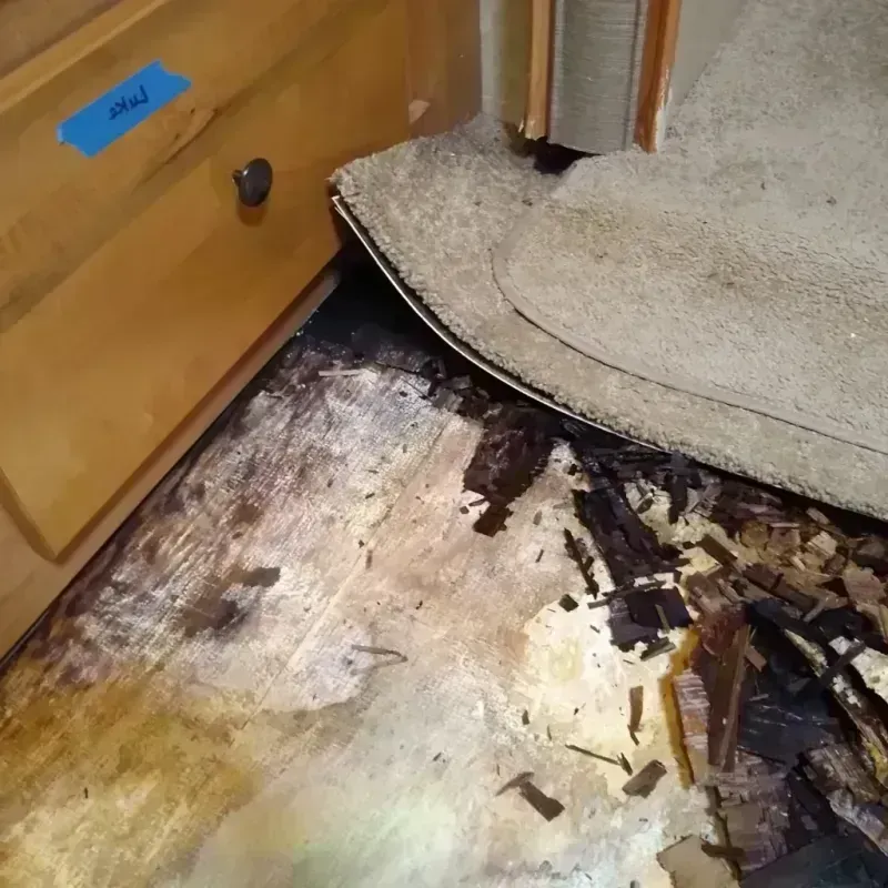 Wood Floor Water Damage in Steele, AL